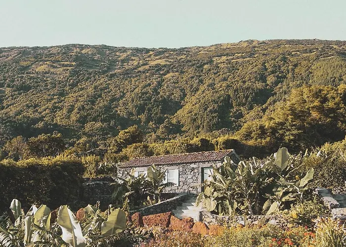 Adegas Do Pico