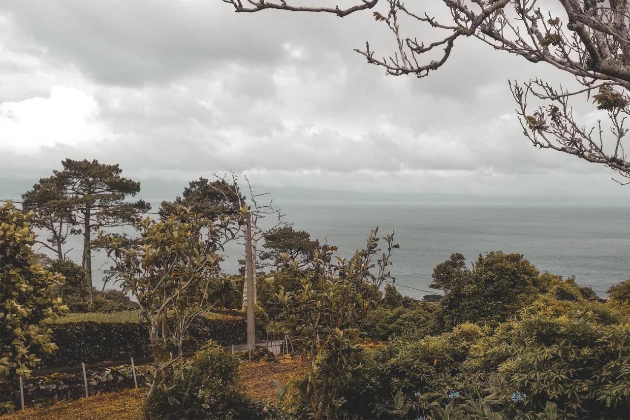 Villa Adegas Do Pico *