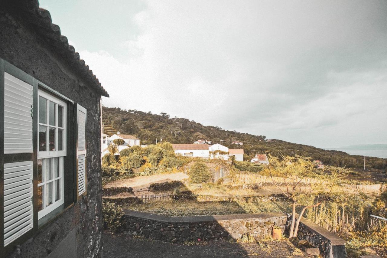Adegas Do Pico Villa *