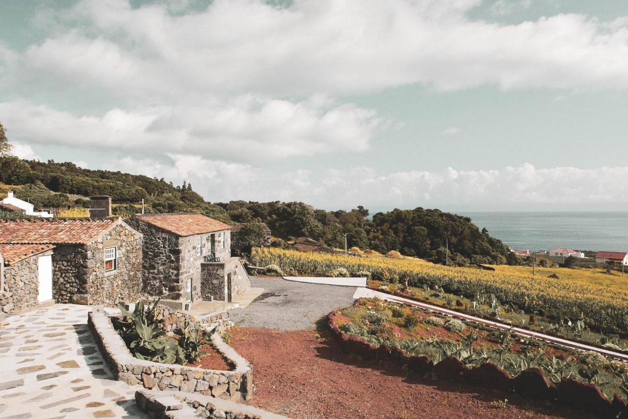 Villa Adegas Do Pico
